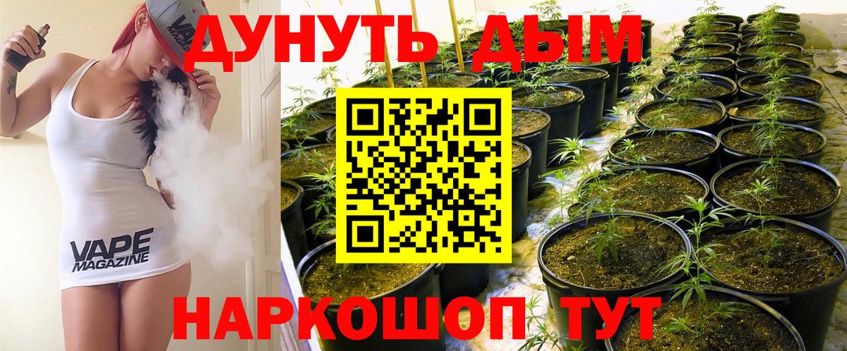 Бошки марихуана марихуана  Вход с VPN  Ишим  Марихуана AK-47  Марихуана Amnesia 